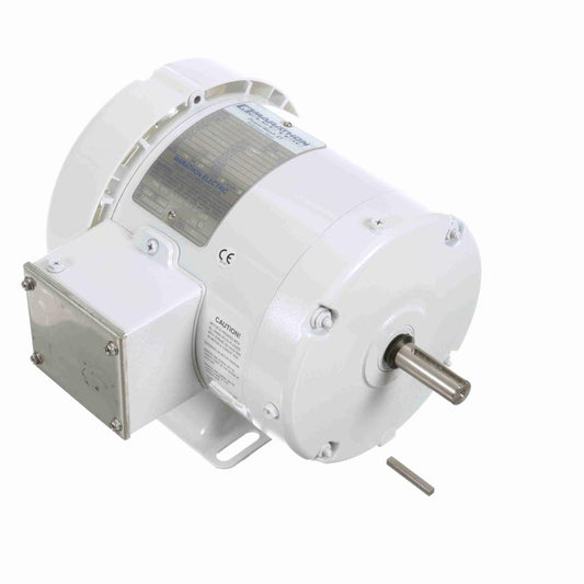 Marathon N322 White Epoxy Washdown Motors