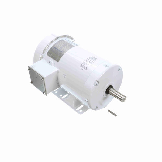 Marathon N324 White Epoxy Washdown Motors