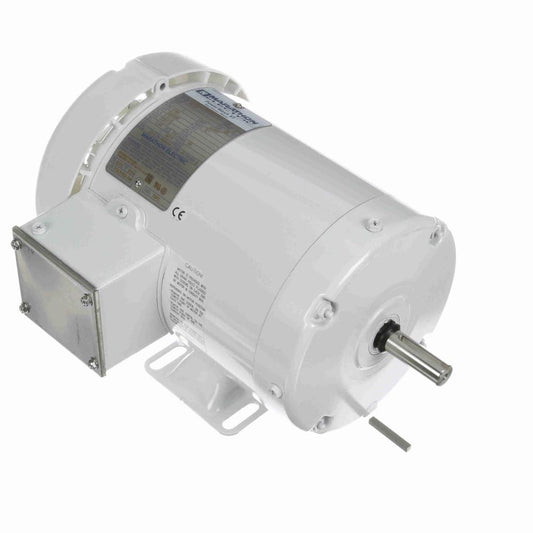 Marathon N326 White Epoxy Washdown Motor