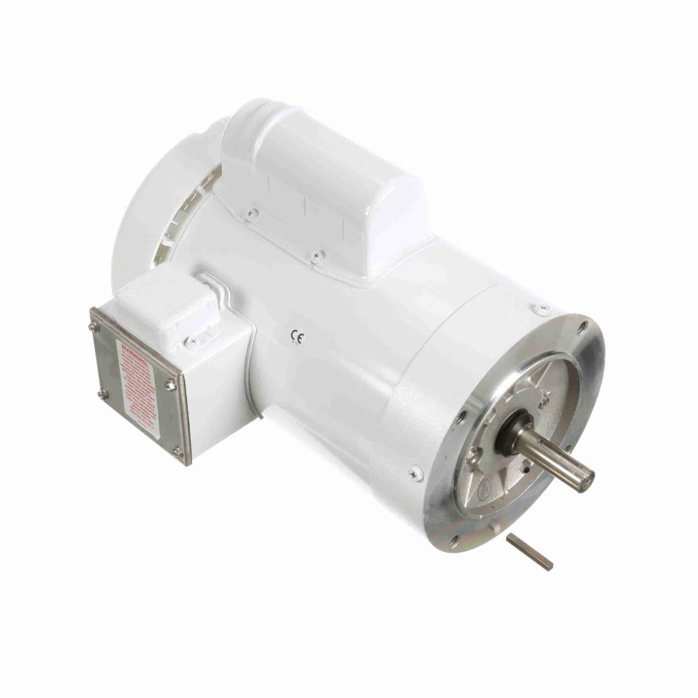 Marathon N529 White Epoxy Washdown Motor