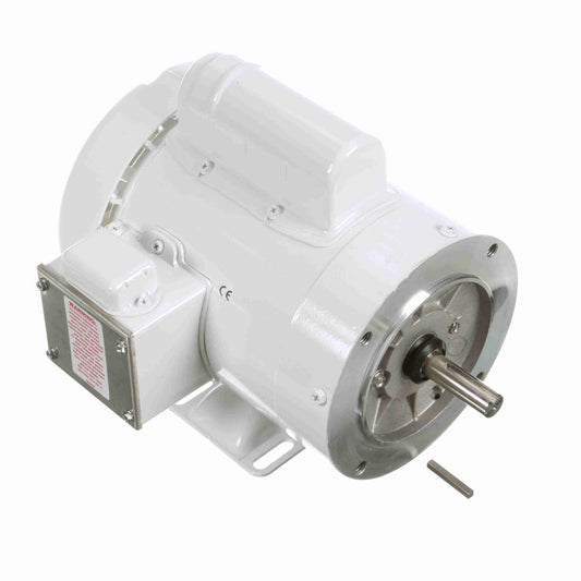 Marathon N540 White Epoxy Washdown Motor