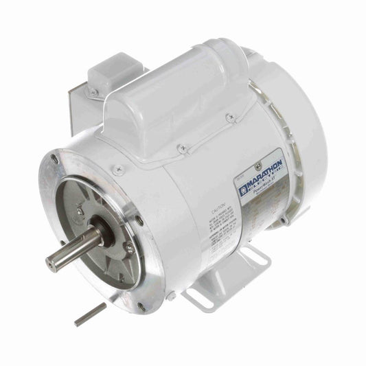 Marathon N556 White Epoxy Washdown Motors