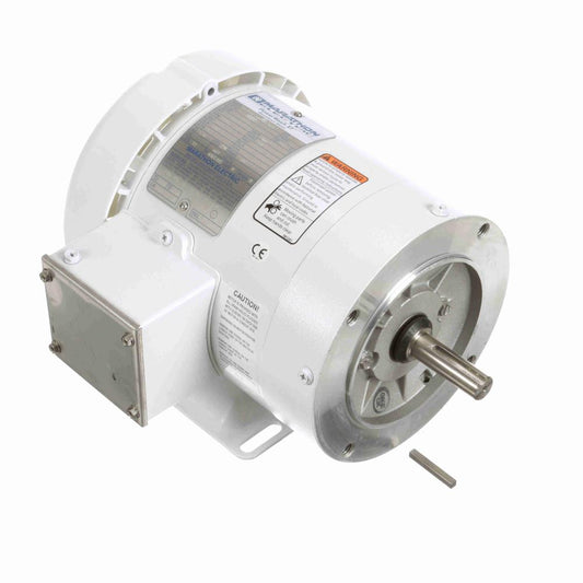 Marathon N623 White Epoxy Washdown Motors