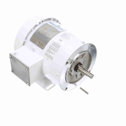 Marathon N628 White Epoxy Washdown Motors