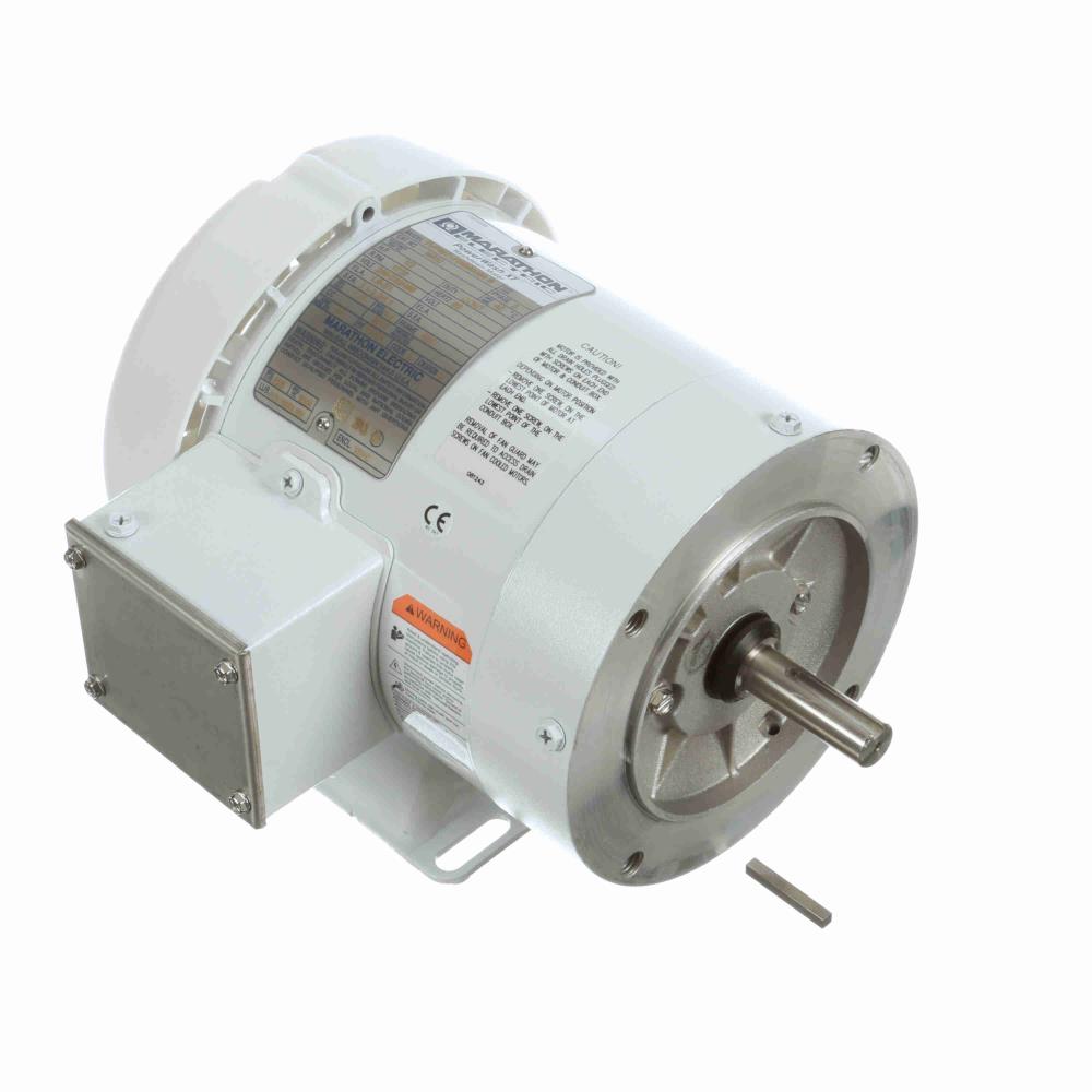 Marathon N632 White Epoxy Washdown Motor