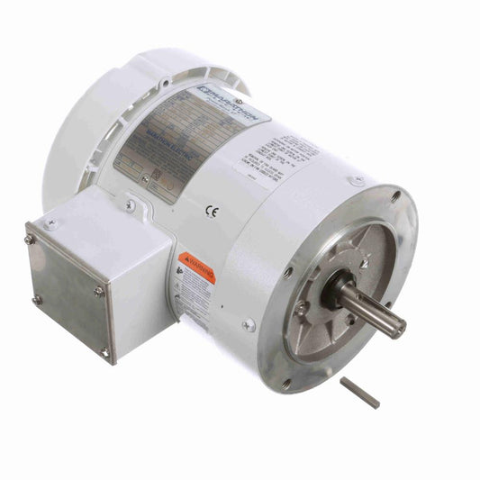 Marathon N669 White Epoxy Washdown Motors