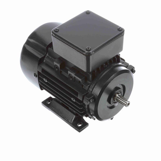 Marathon R303 IEC Motors