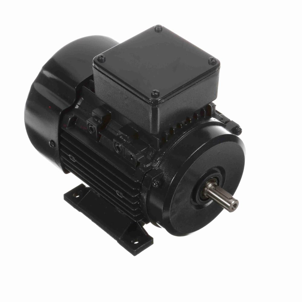 Marathon R309 IEC Motor