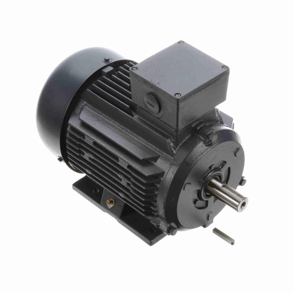 Marathon R317 IEC Motor