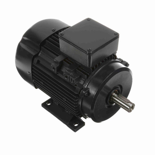 Marathon R318A IEC Motor