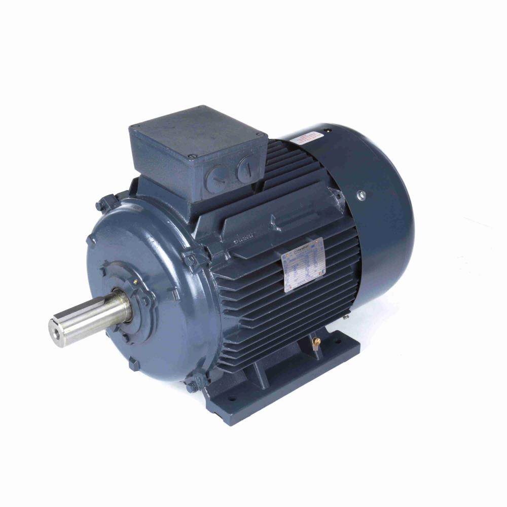 Marathon R347A IEC Motors