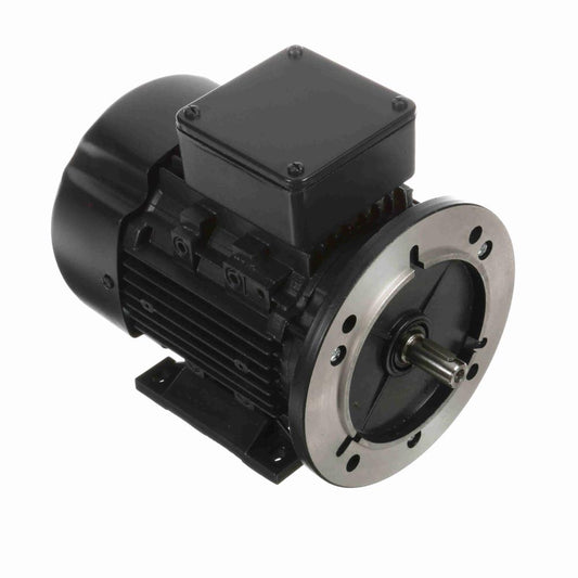 Marathon R386 IEC Motors