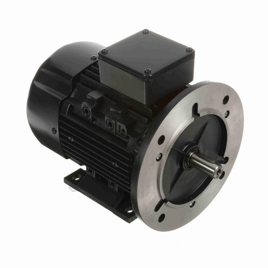 Marathon R391 IEC Motors