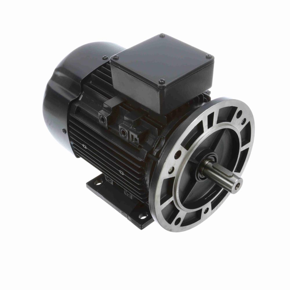 Marathon R394A IEC Motors