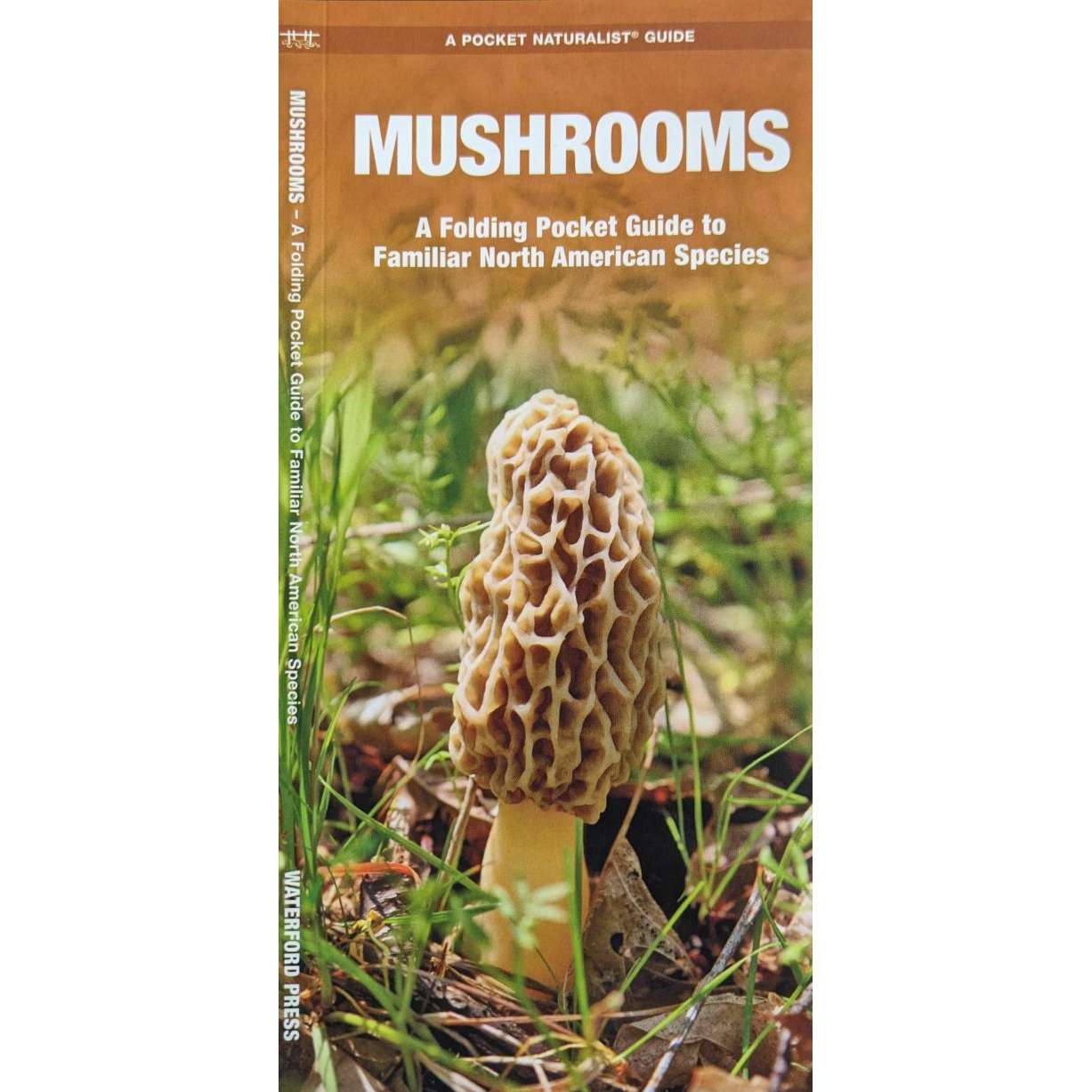 Paradise Clay WFP015 Mushrooms - A Folding Pocket Guide to Familiar North American Species - Laminated Pocket Guide