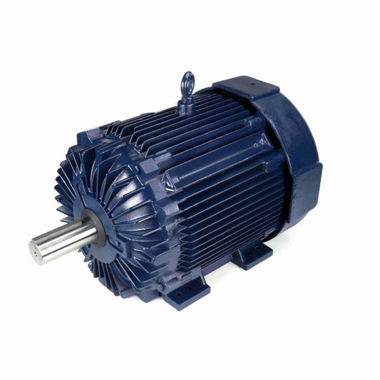 Marathon Y578 Vector Duty Motor