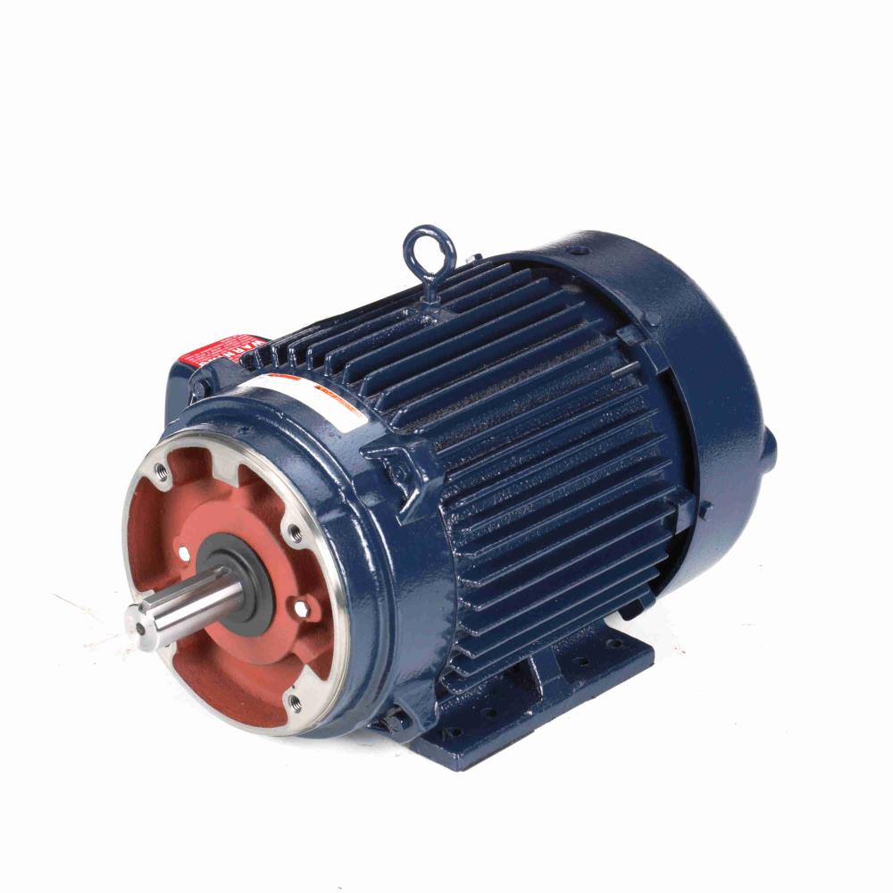 Marathon Y596 Vector Duty Motor