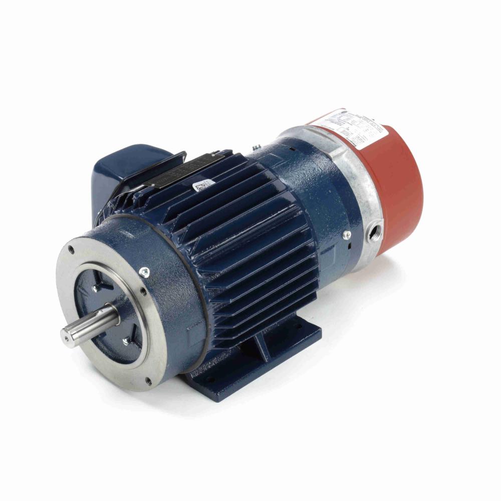 Marathon Y987 Vector Duty Motor