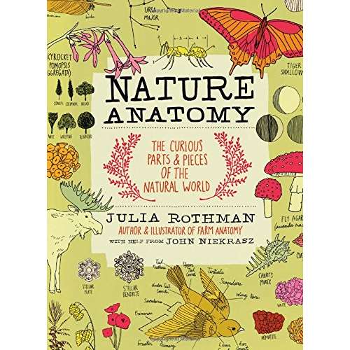 Paradise Clay WPC114 Nature Anatomy: The Curious Parts and Pieces of the Natural World - Book