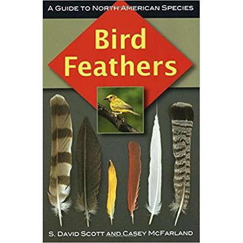 Paradise Clay NBN025 Bird Feathers: A Guide to North American Species - Book
