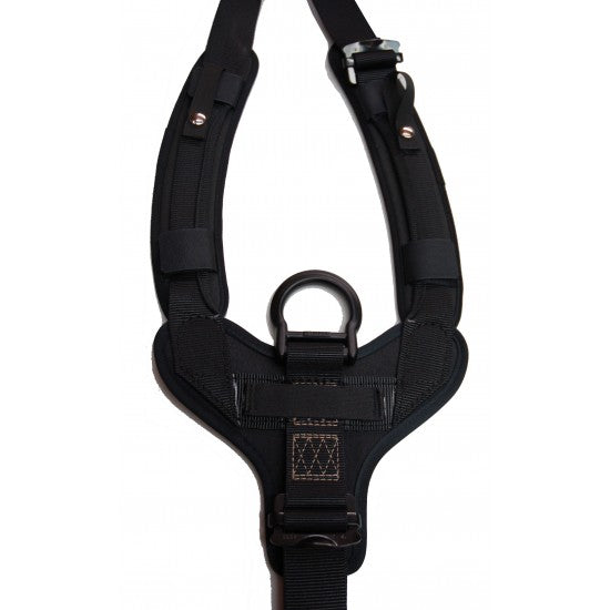 Yates Gear 387P Rope Access Professional Harness