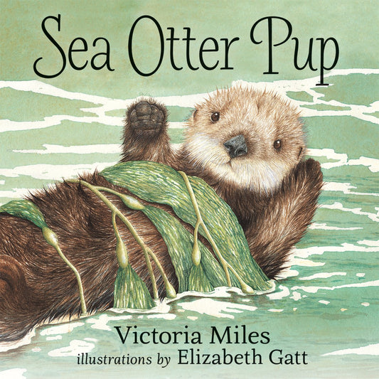 Paradise Clay OBP034 Sea Otter Pup - Paperback Book