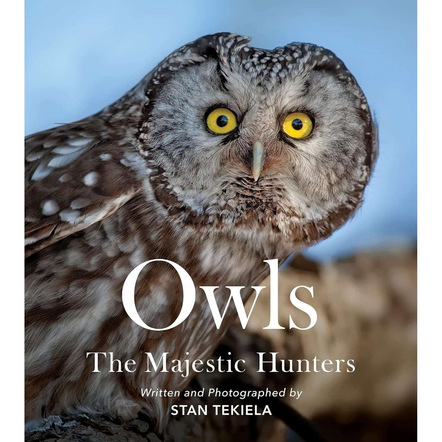 Paradise Clay AVK136 Owls - The Majestic Hunters - Book