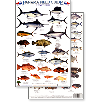 Paradise Clay RFP025 Panama Sport Fish - Laminated Card