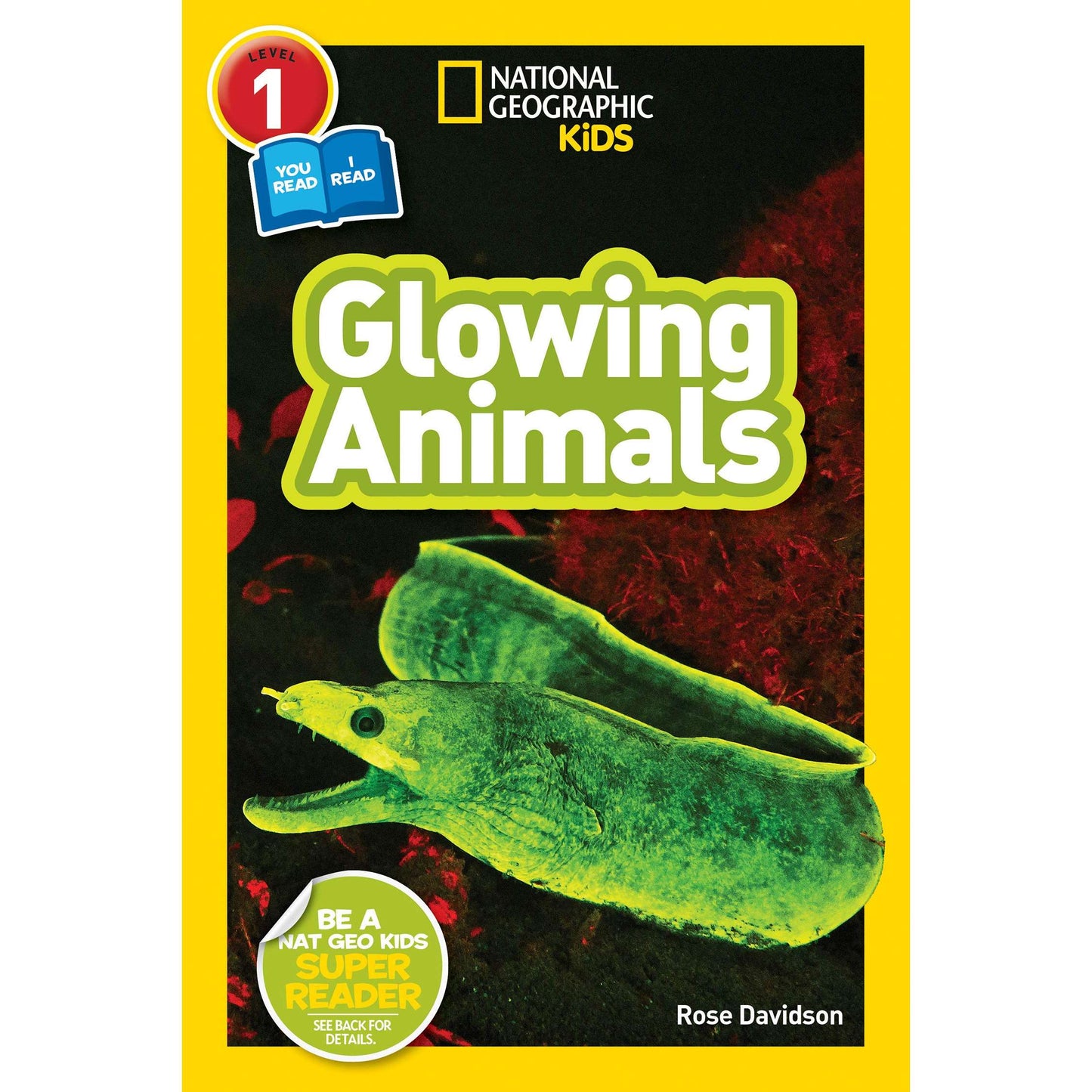 Paradise Clay PGN320 National Geographic Readers: Glowing Animals - Book