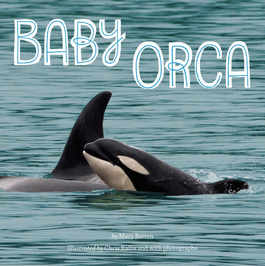 Paradise Clay PGN411 Baby Orca - Book