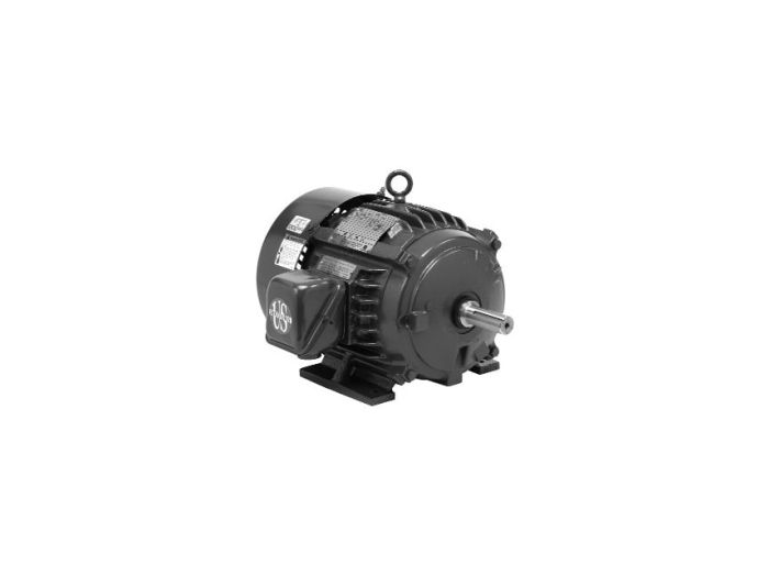 U.S. Motors FD42 CTE,1 1/2 HP,4P,145T 60,200 V 1 1/2 HP, 1745 RPM, H32P2H, 200 V, 60 HZ, 145T