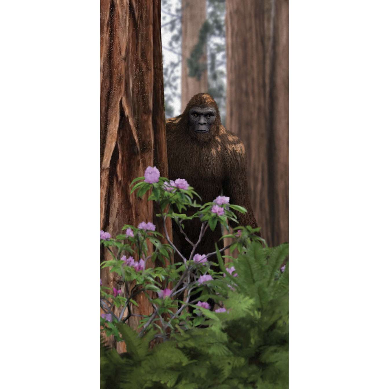 Paradise Clay PAR811 Sasquatch Postcard #1 (10 PACK) - Book