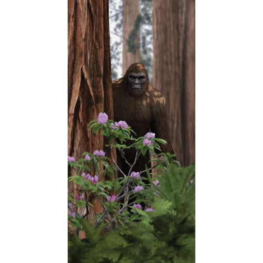 Paradise Clay PAR811 Sasquatch Postcard #1 (10 PACK) - Book