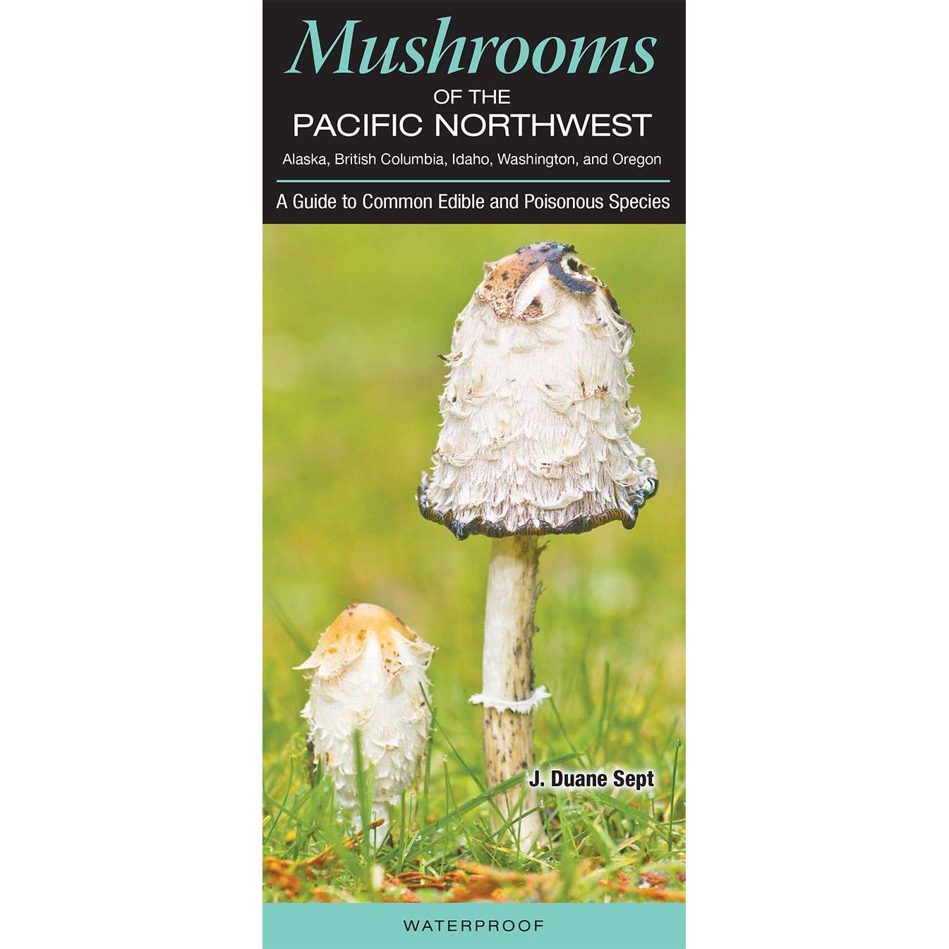 Paradise Clay QRP026 Mushrooms of the Pacific Northwest Alaska, British Colombia, Idaho, Washington and Oregon: A Guide to Common Edible and Poisonous Species - Folding Pocket Guide