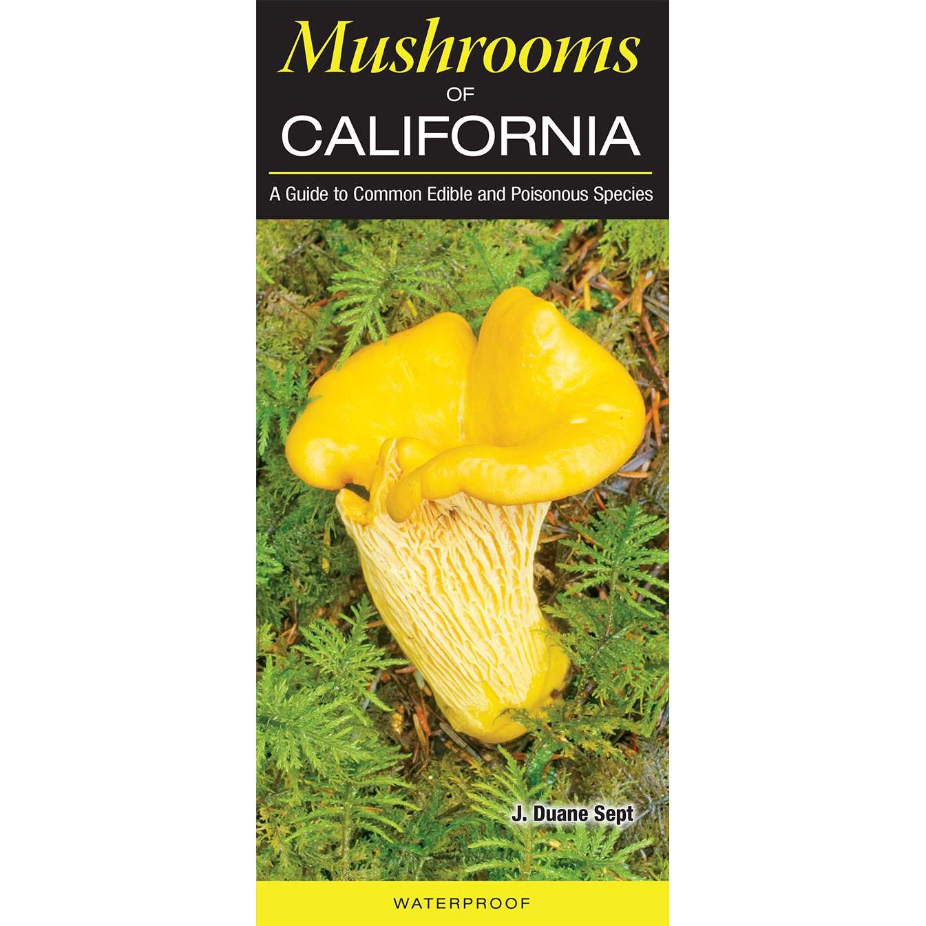 Paradise Clay QRP027 Mushrooms of California: A Guide to Common Edible and Poisonous Species - Folding Pocket Guide