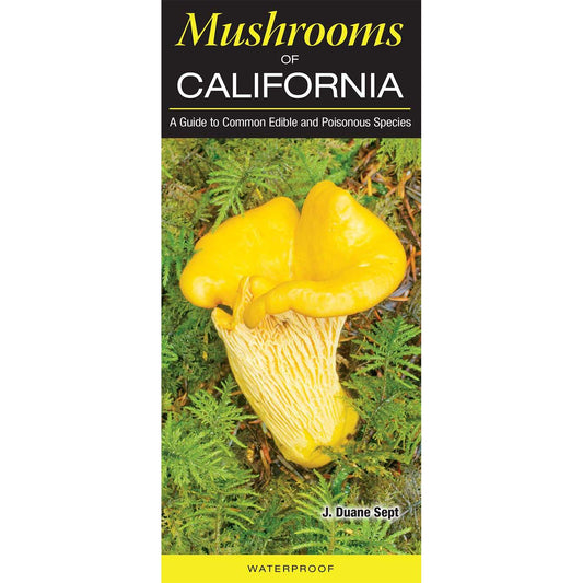 Paradise Clay QRP027 Mushrooms of California: A Guide to Common Edible and Poisonous Species - Folding Pocket Guide
