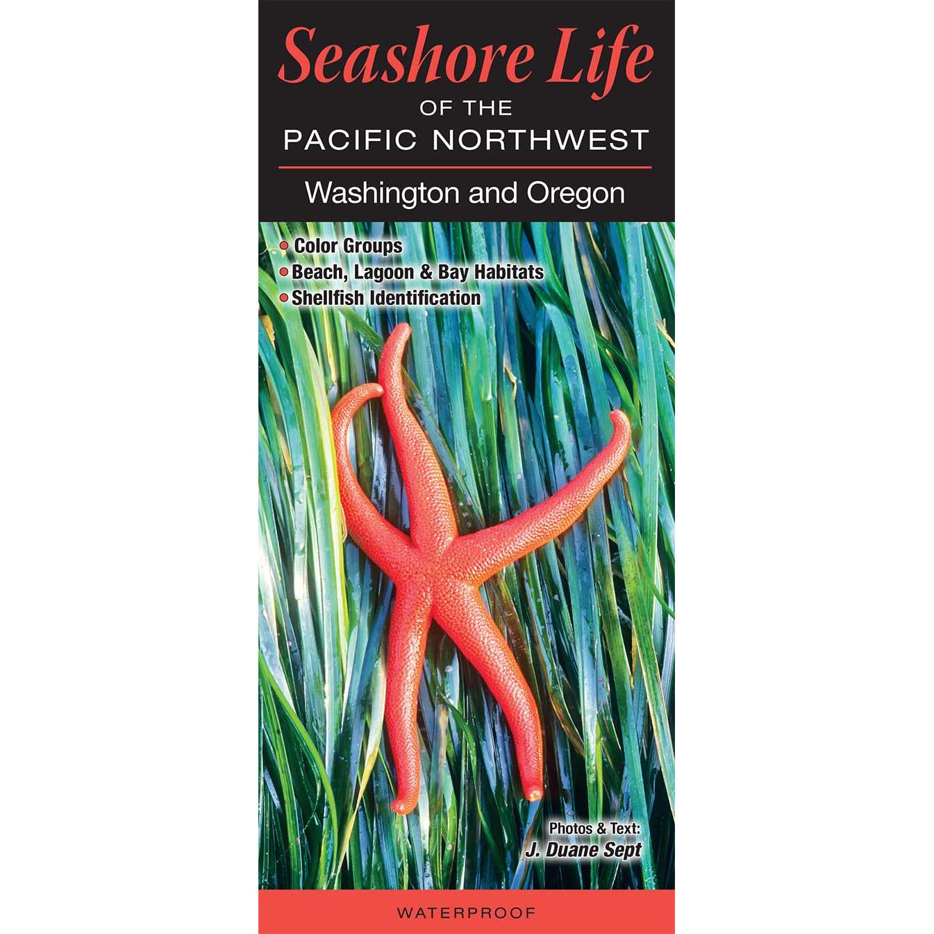Paradise Clay QRP031 Seashore Life of the Pacific Northwest: Washington and Oregon - Folding Pocket Guide