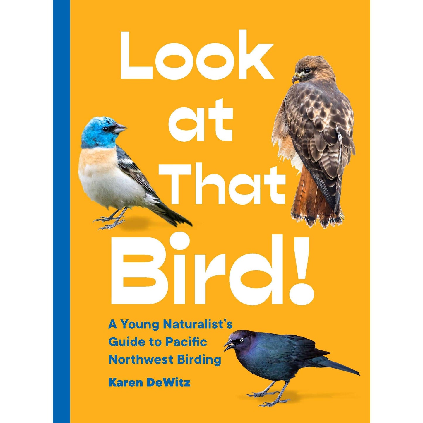 Paradise Clay RAN572 Look at That Bird!: A Young Naturalist's Guide to Pacific Northwest Birding - Book