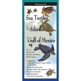Paradise Clay FGG080 Sea Turtles of the Atlantic & Gulf of Mexico - Folding Pocket Guide