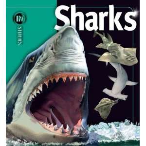 Paradise Clay SIM130 INSIDERS: Sharks - Book