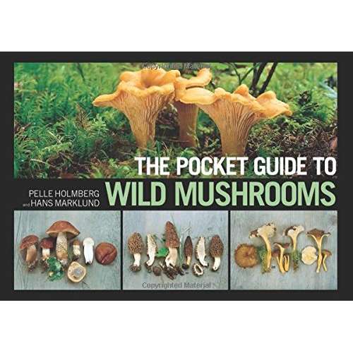 Paradise Clay SKY117 The Pocket Guide to Wild Mushrooms: Helpful Tips for Mushrooming in the Field - Book