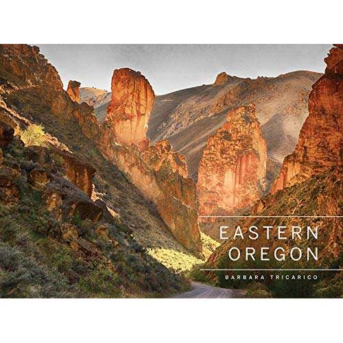 Paradise Clay SPC078 Eastern Oregon - Book