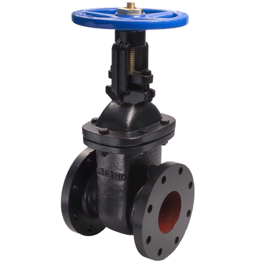 Legend Valves 116-121 2" Cast Iron OS & Y Gate Valve