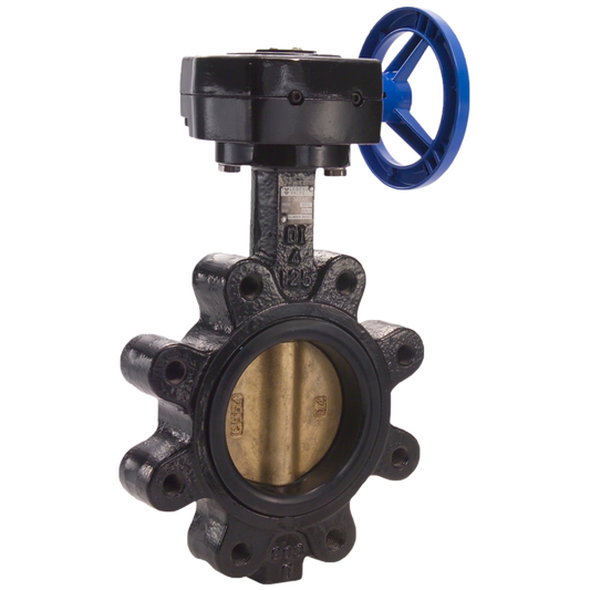 Legend Valves 116-666 6" Ductile Iron Lug-Type Butterfly Valve with Aluminum Bronze Disc, Buna-N Seat, and Gear Operator Handle