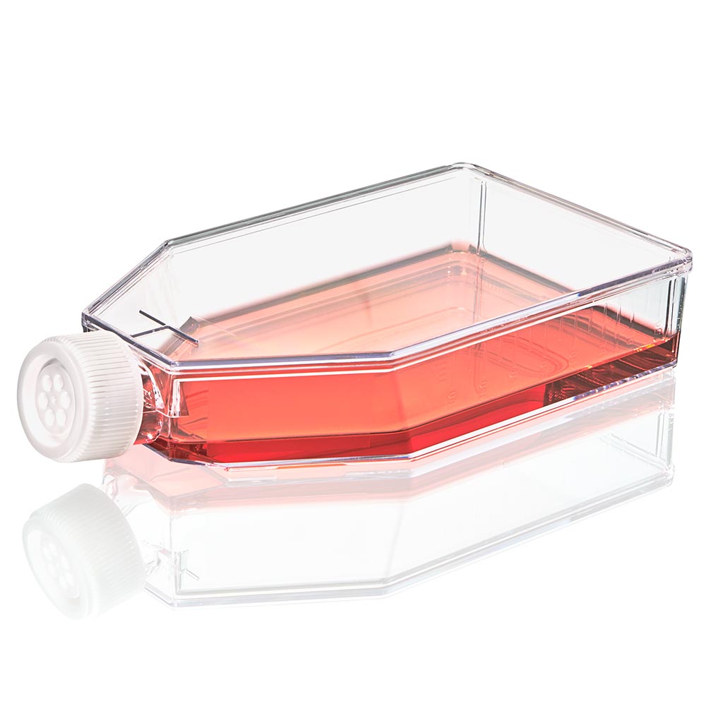 Globe Scientific TC-FLSK-182-V-NT Diamond SureGro Cell Culture Flask Non-treated 600mL Vent Cap Sterile 5/Bag 40/Case
