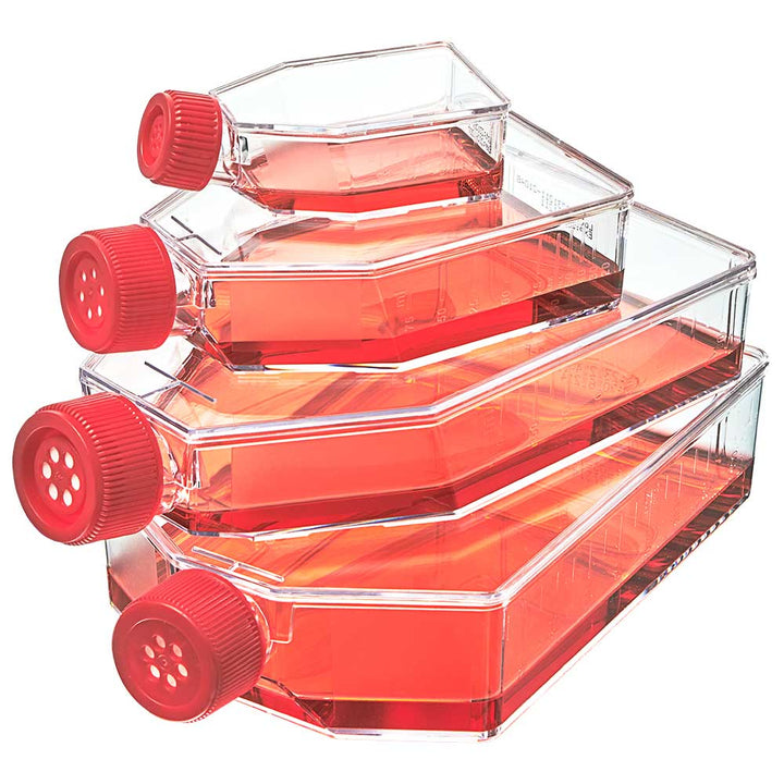 Globe Scientific TC-FLSK-75-P Diamond SureGro Cell Culture Flask Tissue Culture Treated 75cm2 Plug Cap Sterile 5/Bag 100/Case