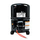Packard TFH5538EXG Recip. A/C Compressor, R-22 Systems, 38,400 Btu, 460-3-60, Poe Oil