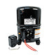 Packard TFH5542EXG Recip. A/C Compressor, R-22 Systems, 42,500 Btu, 460-3-60, Poe Oil