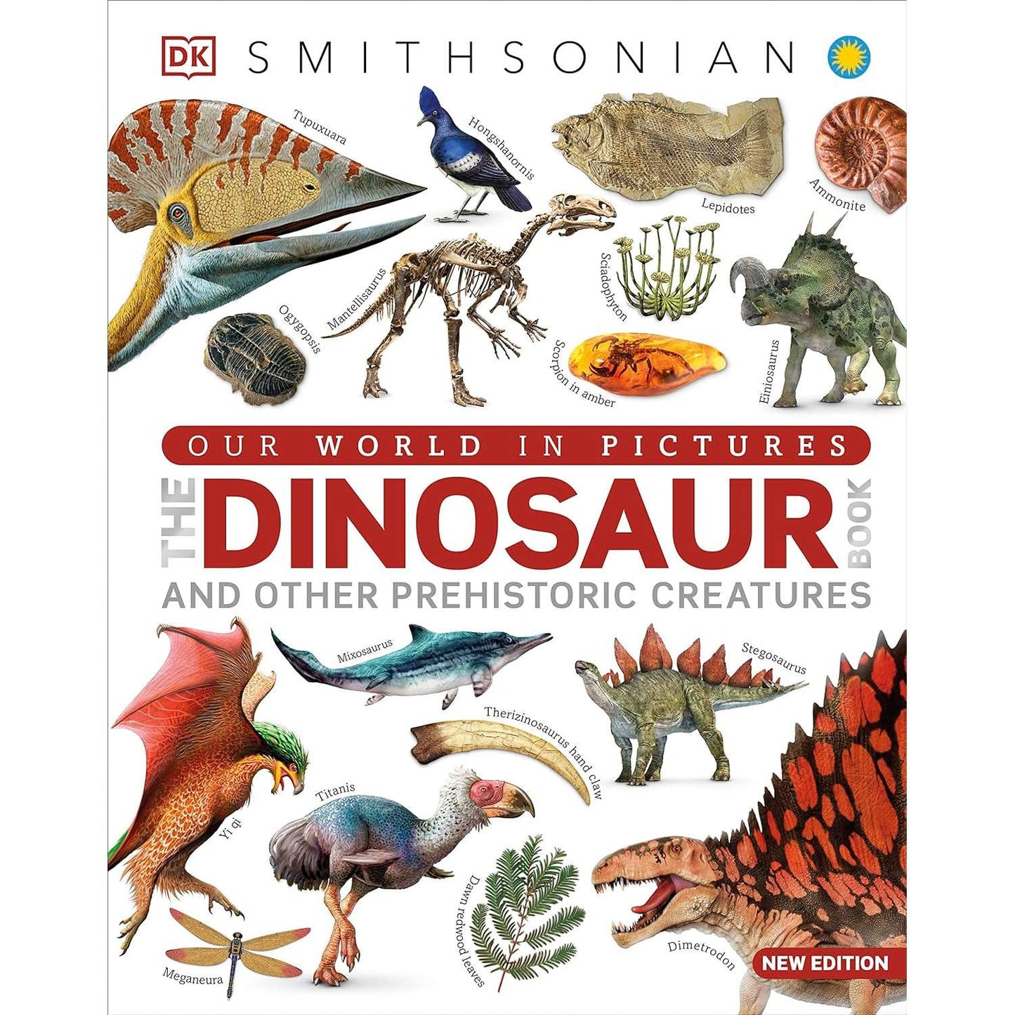 Paradise Clay DKP156 Our World in Pictures The Dinosaur Book: And Other Prehistoric Creatures - Book