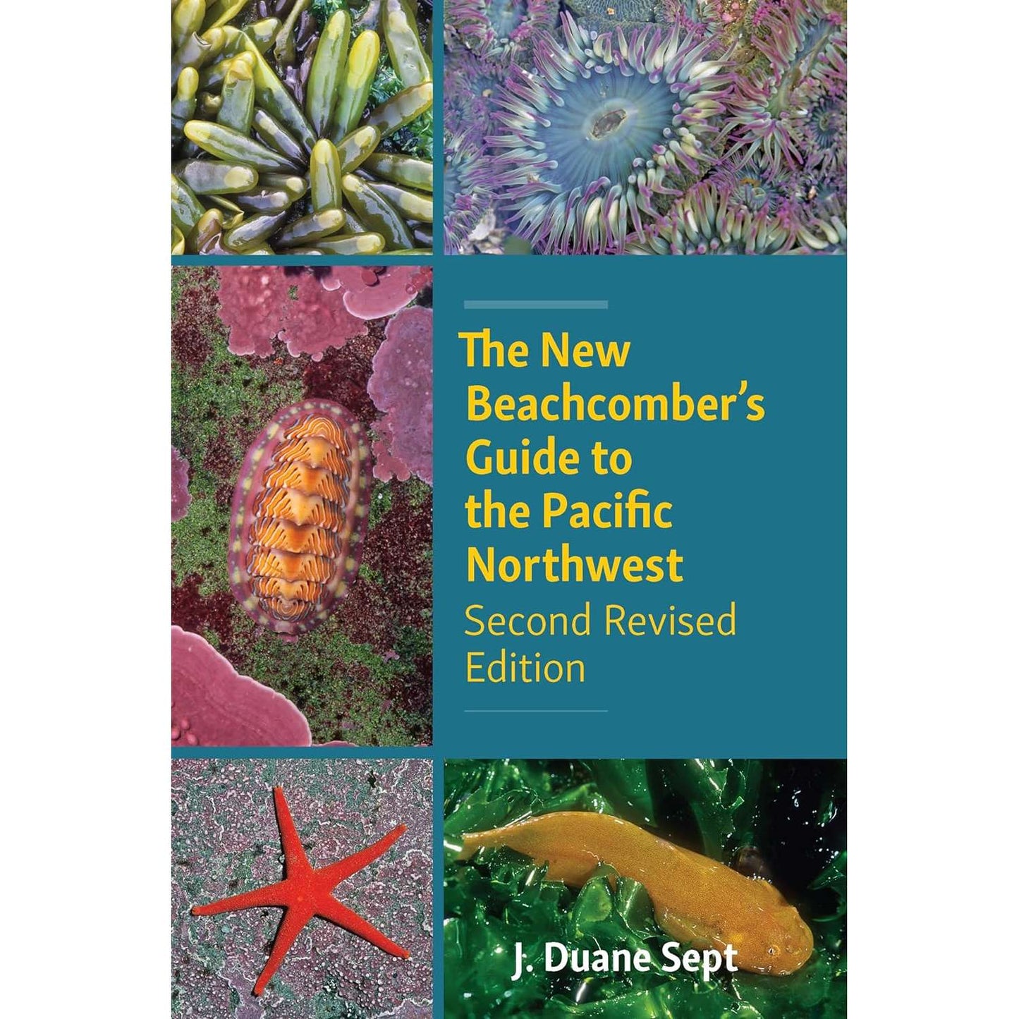 Paradise Clay IPS334 The New Beachcomber's Guide to the Pacific Northwest: 2nd Ed. - Book